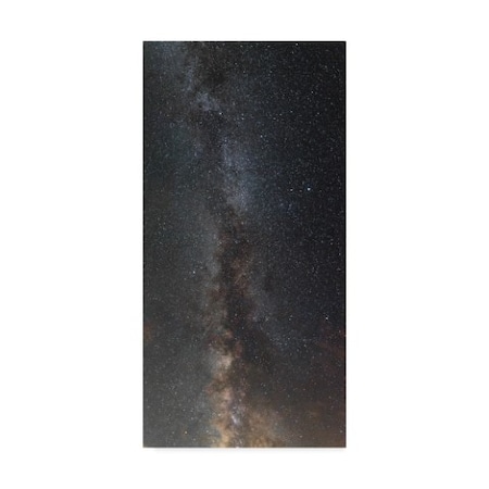 Brenda Petrella Photography Llc 'Perseids Meteor Shower' Canvas Art,16x32